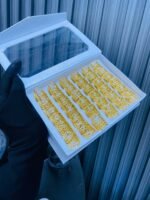 NON TARNISH ADJUSTABLE KNUCKLE RINGS (MA3702) - Image 2