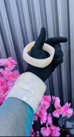 JADE ACRYIL BANGLES(MA4347) - Image 7