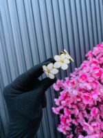 NON TARNISH ACRYLIC COATED BOLD BADDIE BANGLE (MA4908) - Image 4